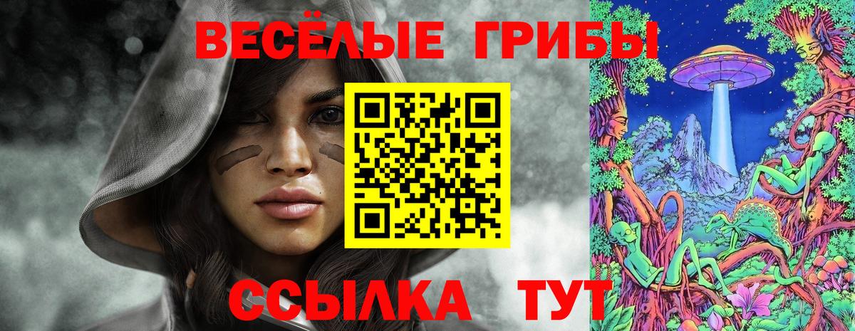 Псилоцибиновые грибы прущие грибы Тюмень
