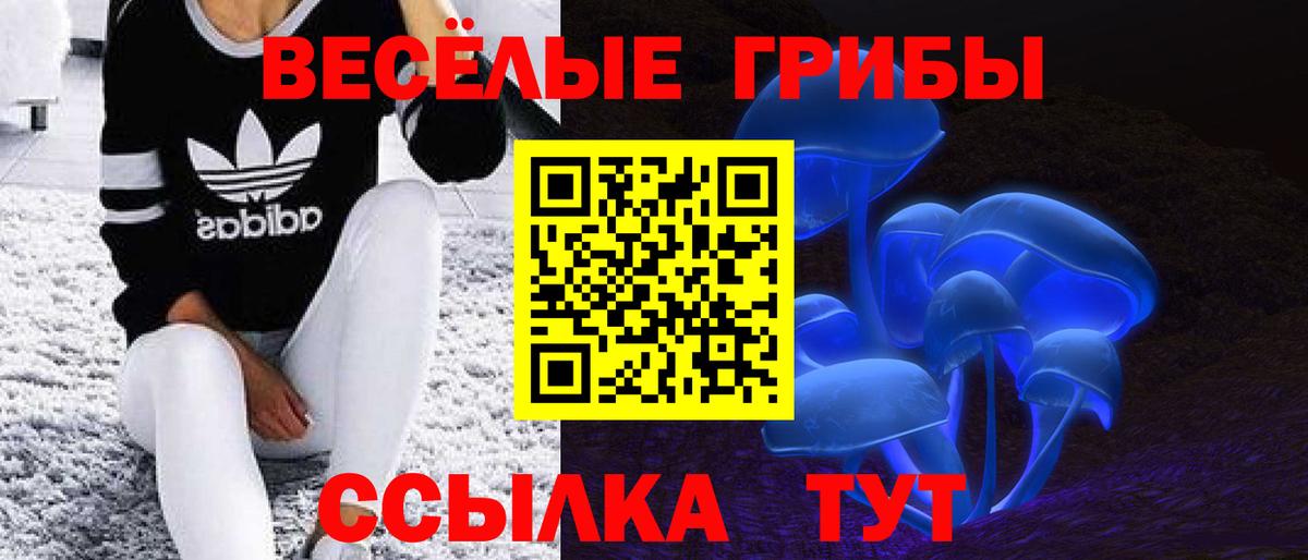 Псилоцибиновые грибы Cubensis  Вход с VPN  Галлюциногенные грибы прущие грибы  Тюмень 